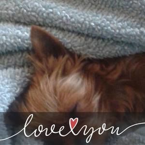 Meet your Posher, Eva